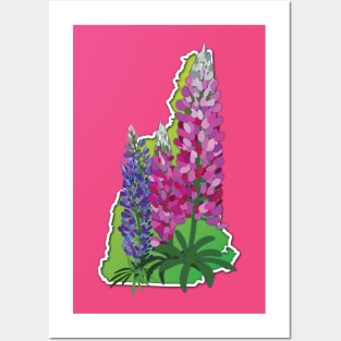 New Hampshire Lupines Posters and Art